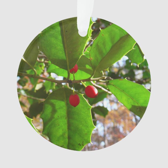 Ornamento Holly Sai do Feriado II Botânico (Frente)