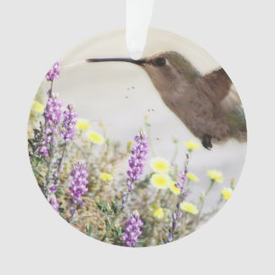 Ornamento Hummingbird e flores silvestres Arte digital