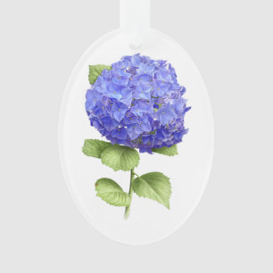 Ornamento Hydrangea azul