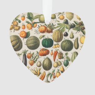 Ornamento Ilustração Científica Botânica Vegetal fruta