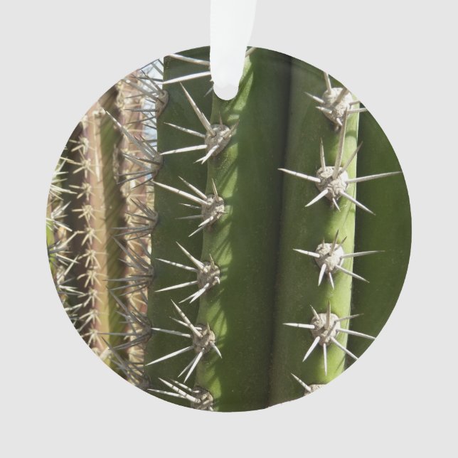 Ornamento Imagem natural do deserto Barrel Cactus II (Frente)