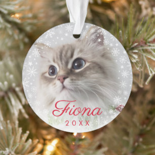 Ornamento Impressão de Pet Fotografia Moderna e Quadro de Fl