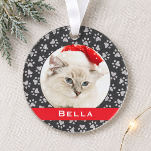 Ornamento Impressões de Pata de Pet Prata Nome de Gato Perso