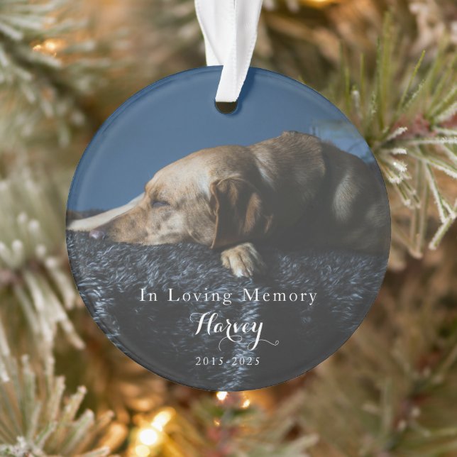 Ornamento In Loving Memory Pet Photo Memorial (Árvore)