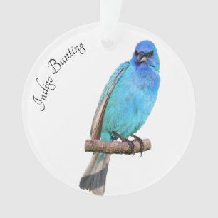 Ornamento Indigo Bunting