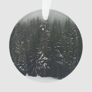 Ornamento Inverno na Floresta das Montanhas