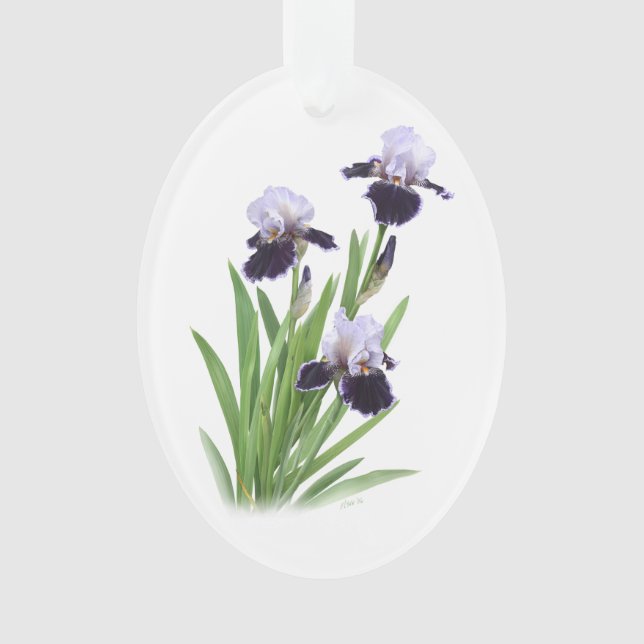 Ornamento Iris Trio (Frente)