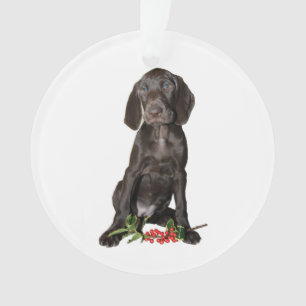 Ornamento Irmã Puppy de Natal