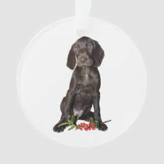 Ornamento Irmã Puppy de Natal