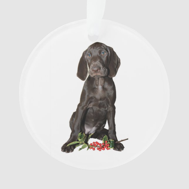 Ornamento Irmã Puppy de Natal (Frente)