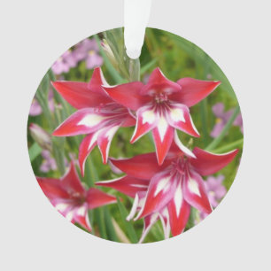 Ornamento Jardim de Verão de Gladiolas Vermelhas e Brancas