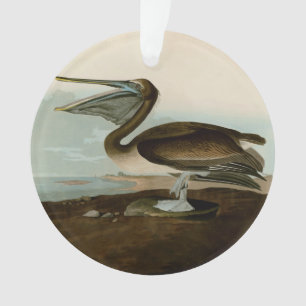 Ornamento John James Audubon Brown Pelican Trabalho de arte