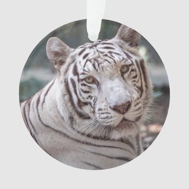 Ornamento Karma - (Frente)