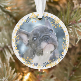 Ornamento Keepsawn Baby ou Pet's First Hanukkah Photo