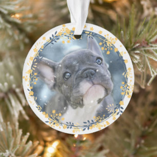 Ornamento Keepsawn Baby ou Pet's First Hanukkah Photo