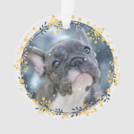 Ornamento Keepsawn Baby ou Pet's First Hanukkah Photo