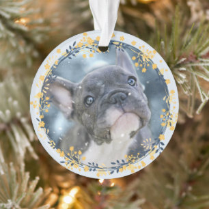 Ornamento Keepsawn Foto Pet + Ano Comemorativo de Hanukkah
