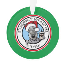 KiniArt Cesky Terrier Natal