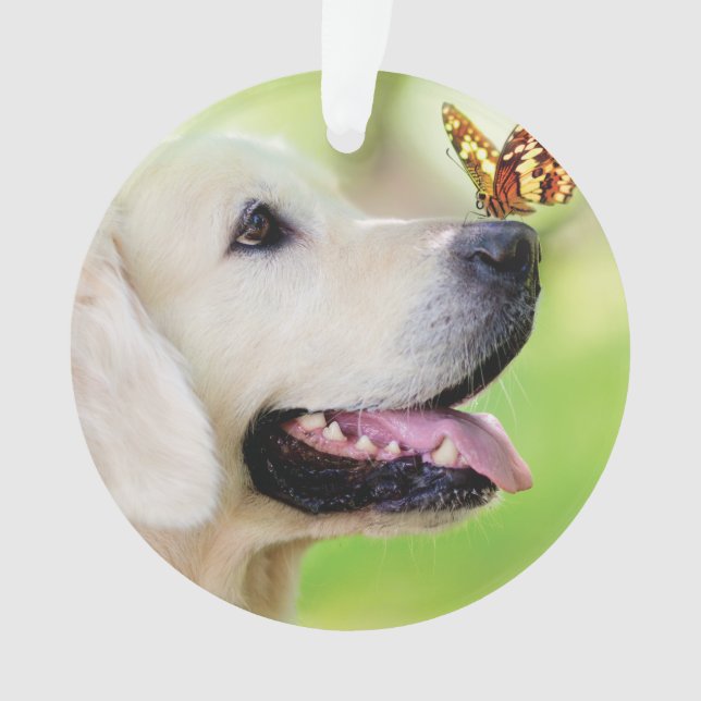 Ornamento Labrador And Butterfly Throw Pillow (Frente)