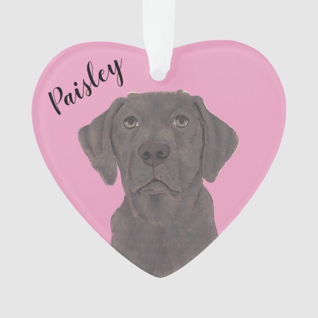 Ornamento Labrador de Chocolate Rosa Personalizado (Frente)