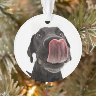 Ornamento Labrador Negro A Soltar O Nariz