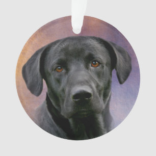 Ornamento Labrador retriever preto