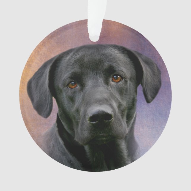 Ornamento Labrador retriever preto (Frente)