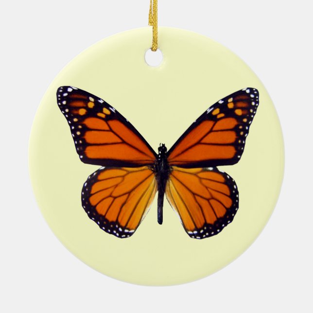 Ornamento Laranja Borboleta Redonda (Traseira)