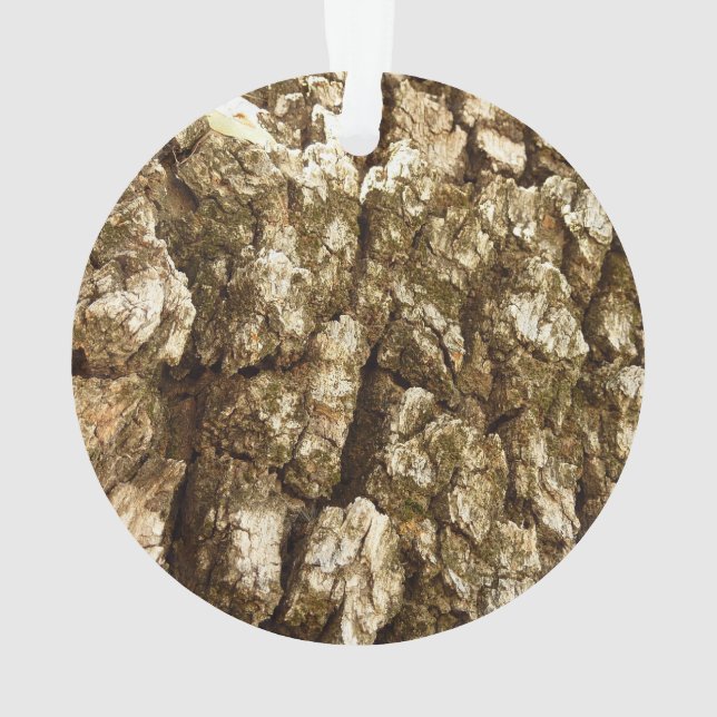 Ornamento Latido de Árvore II Textura natural Design (Verso)