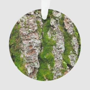 Ornamento Latido Pine Tree Com Moss