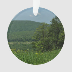 Ornamento Laurel Highlands Pennsylvania Summer Photoics