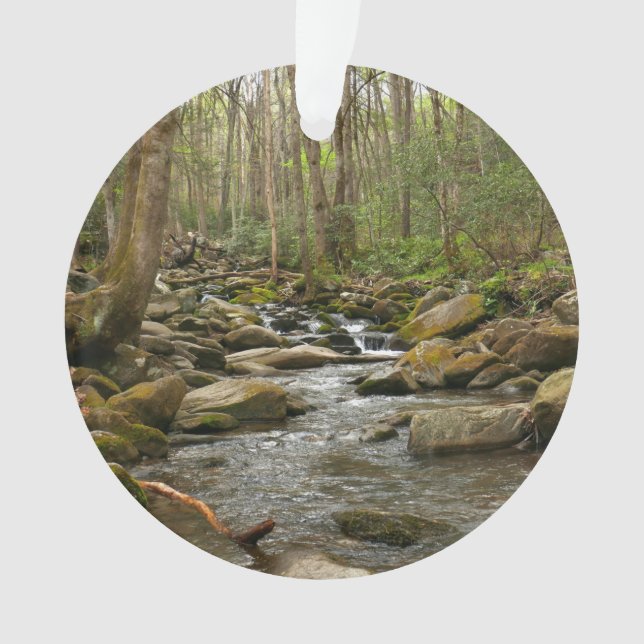 Ornamento LeConte Creek nas Montanhas do Enfumaçado do Excel (Frente)