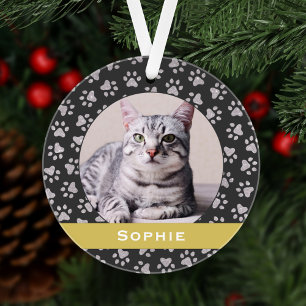 Ornamento Lembrança de Foto de Gato com Faixa de Ouro Elegan