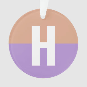 Ornamento Letra inicial do bloco colorido de legenda Monogra