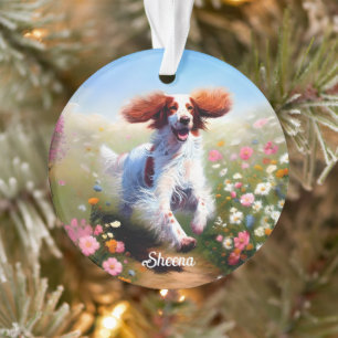 Ornamento Lindo Setter Inglês