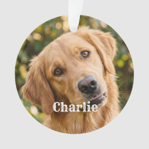 Ornamento Lindo Simples Moderno Pet Personalizado