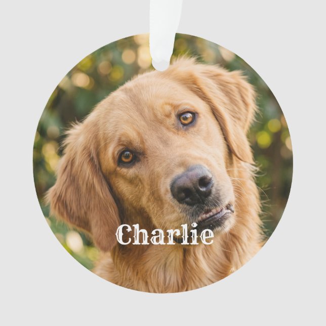 Ornamento Lindo Simples Moderno Pet Personalizado  (Frente)