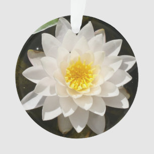 Ornamento Lotus Waterlily Branco Flutuante