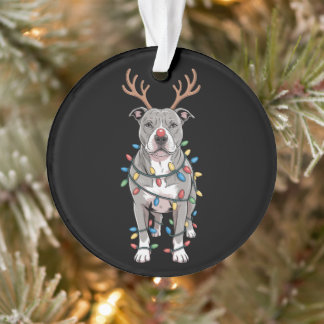 Ornamento Luzes de Natal Antílope de Rena Pit Bull de Natal