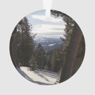 Ornamento Madison Mountain em inverno em Montana