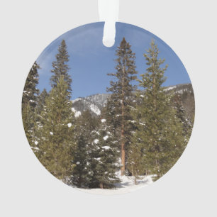 Ornamento Madison Mountain em inverno em Montana