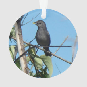 Ornamento Mãe Catbird leva Berries aos seus bebês de aliment