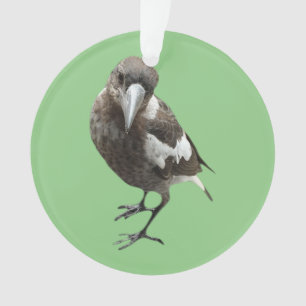 Ornamento Magpie