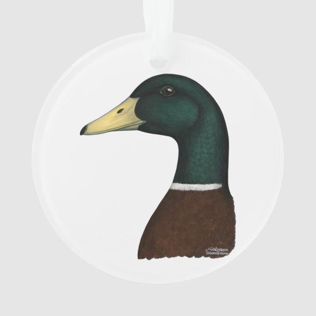 Ornamento Mallard Drake Head (Verso)