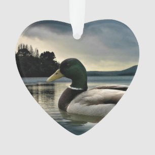 Ornamento Mallard Duck No Lago