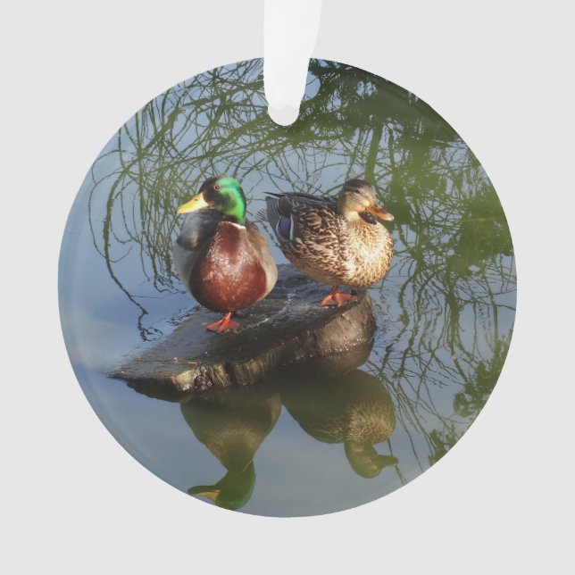 Ornamento Mallard Ducks nº 2 Ornament (Frente)