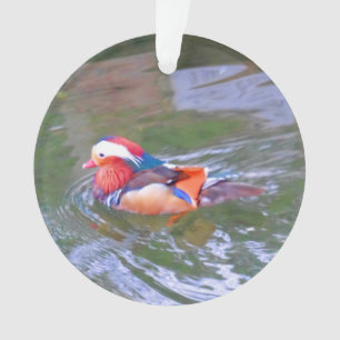 Ornamento Mandarin Duck nº 2
