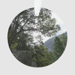 Ornamento Manhã na trilha para as quedas vernais em Yosemit