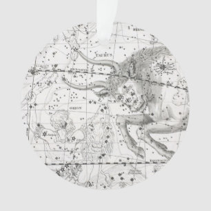Ornamento Mapa da placa XIV das constelações