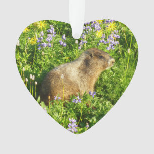 Ornamento Marmot no Monte Rainier Wildflower